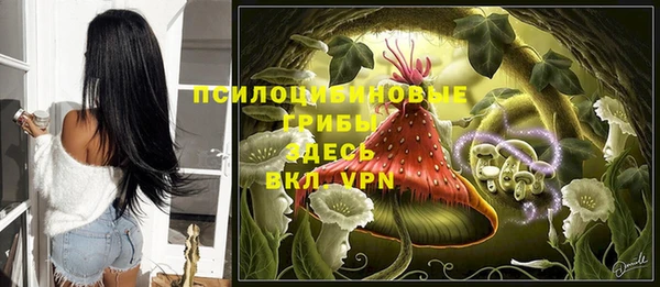 МДПВ Аркадак