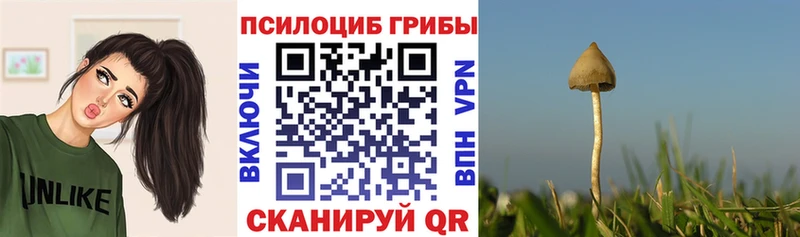 наркотики Бабаево Галлюциногенные грибы Magic Shrooms